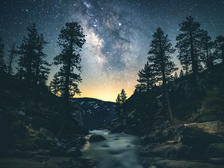 Stars